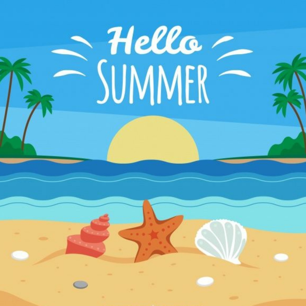 FUN 🎶 In 🌴 The ☀️ Sun ~ s a l e ~